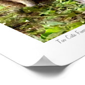 可愛すぎるキツネオリジナル撮影：S.L Russell ポスター (角)