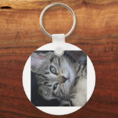 可愛すぎる子猫! キーホルダー (正面)
