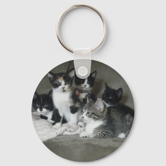 可愛すぎる子猫 キーホルダー (正面)