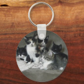 可愛すぎる子猫 キーホルダー (正面)