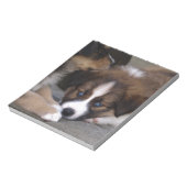 可愛すごいいオーストラリアの羊飼い子犬 ノートパッド (回転)