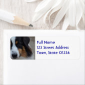 可愛すごいいオーストラリアの羊飼い ラベル (インサイチュ)