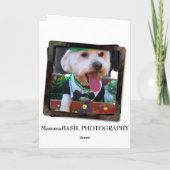 可愛すごいいグリーティングカード! カード (裏面)