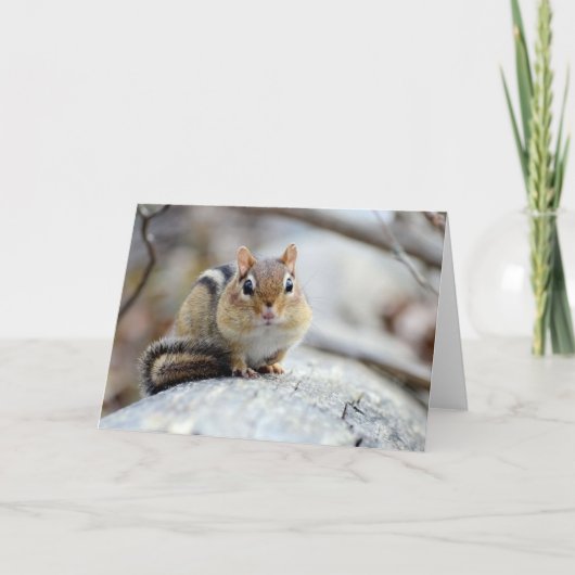 可愛すごいいチムンク カード (正面)