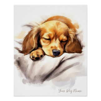 可愛すごいい天使の眠る子犬ダックスント犬001 ポスター
