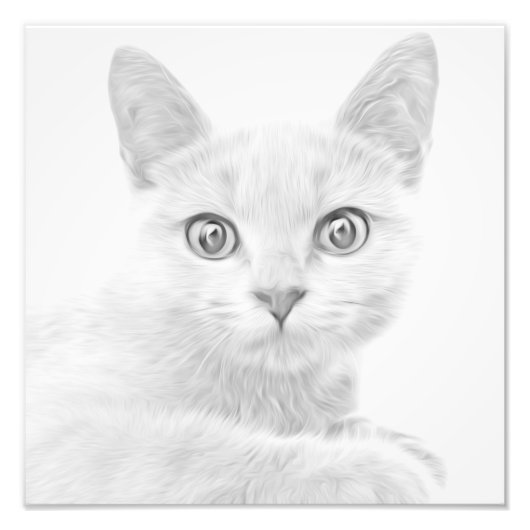 可愛すごいい子猫ポートレート フォトプリント            (正面)