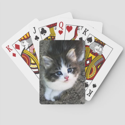可愛すごいい子猫 トランプ (裏面)