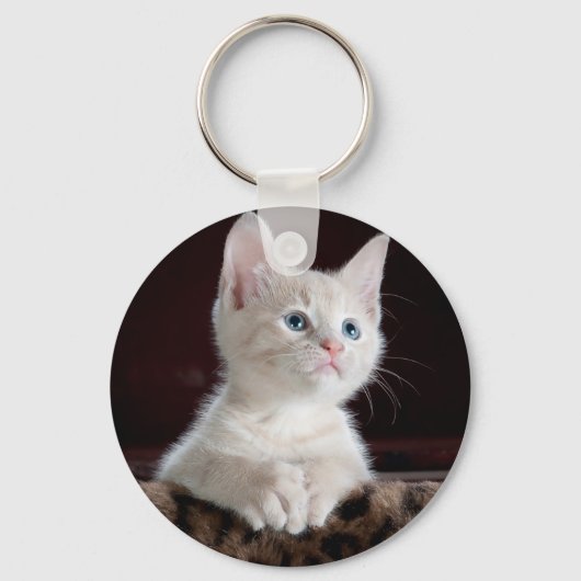 可愛すごいい白い子猫 キーホルダー (正面)