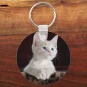 可愛すごいい白い子猫 キーホルダー (正面)