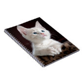 可愛すごいい白い子猫 ノートブック (右側)