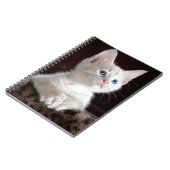 可愛すごいい白い子猫 ノートブック (左側)