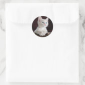 可愛すごいい白い子猫 ラウンドシール (バッグ)