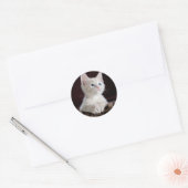 可愛すごいい白い子猫 ラウンドシール (封筒)