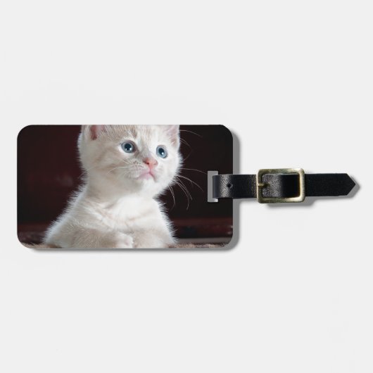 可愛すごいい白い子猫 ラゲッジタグ (正面横)