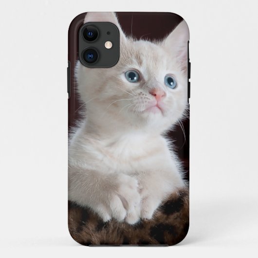 可愛すごいい白い子猫 Case-Mate iPhoneケース (裏面)