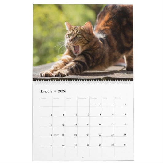 可愛よくはしゃぐいおもしろい猫の写真 カレンダー (1月 2026)