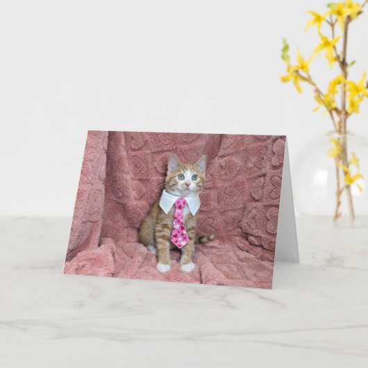 可愛らしいオレンジと白の子猫ルイエをネクタイで カード (黄色い花)