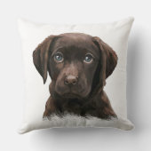 可愛らしいチョコレートラボ クッション (裏面)