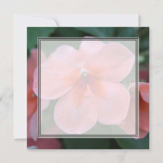 可愛らしいピンクの庭の花が結婚式、パーティー、 招待状 (正面)