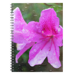 可愛らしいピンクの庭の花に雨粒。フローラル ノートブック