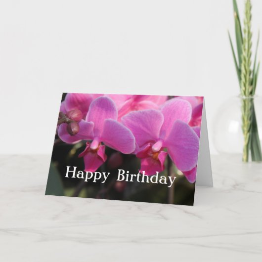 可愛らしいピンクの蘭の花。誕生日のお祝いに カード (正面)