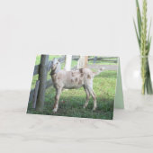 可愛らしいフロッピー付きヤギのグリーティングカード カード (正面)