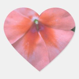 可愛らしい一般的なピンクの庭の花。花の写真 ハートシール