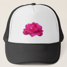 可愛らしい一輪のピンクのバラの花
