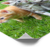 可愛らしい子猫たち5匹 ポスター (角)