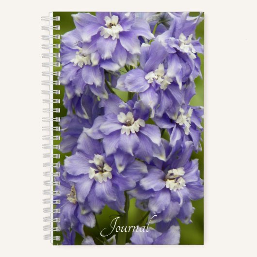 可愛らしい紫色のデルフィニウムの花 ノートブック (正面)