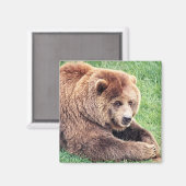 可愛らしい茶色のクマの写真 マグネット (正面/裏面)