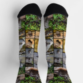 **「可愛らしい：カワウソの写真集 ソックス (上部)