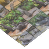 **「可愛らしい：カワウソの写真集 テーブルクロス (アングル)