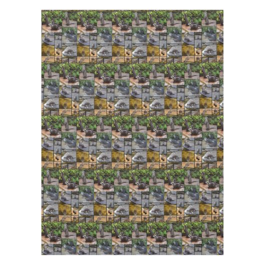 **「可愛らしい：カワウソの写真集 テーブルクロス (正面)