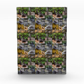 **「可愛らしい：カワウソの写真集 フォトブロック (正面)