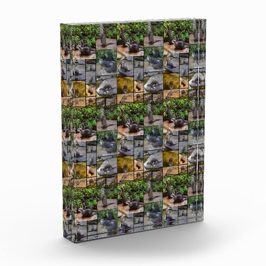 **「可愛らしい：カワウソの写真集 フォトブロック (左)