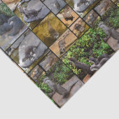 **「可愛らしい：カワウソの写真集 薄葉紙 (詳細)