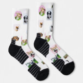 可愛カスタムいペットのすごいフォトソックス ソックス (右)