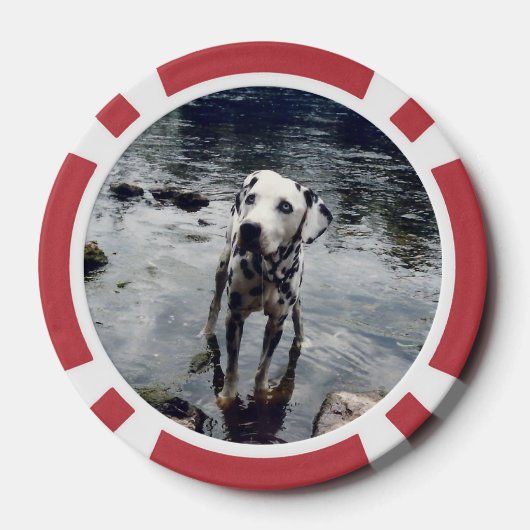 可愛カスタムいペットの友達の写真 – 犬の画像をアップロード ポーカーチップ (裏面)