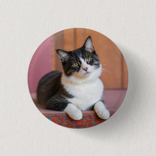 可愛カスタムい可愛い猫を撮ったペットフォト写真 缶バッジ