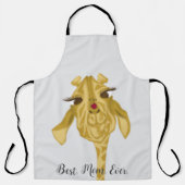 可愛カラフルい エプロン (正面)