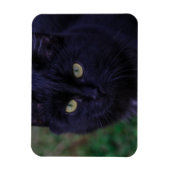 可愛ファンキーい黒猫キッテン黄色い目 マグネット (縦)