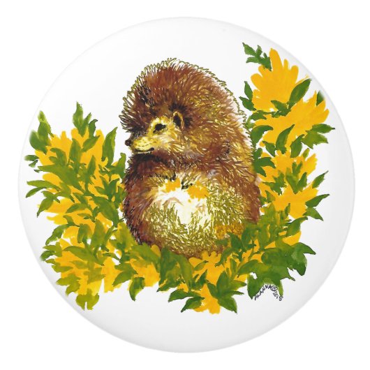 可愛ファンシーいヘッジホッグ水彩プリント セラミックノブ (正面)