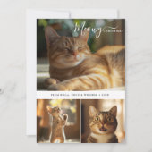 可愛ミニマルい猫マイオウィクリスマス3フォトコラージュ シーズンカード (正面)
