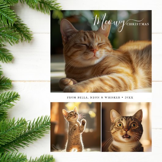 可愛ミニマルい猫マイオウィクリスマス3フォトコラージュ シーズンカード