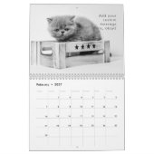 可愛モダンいおもしろいペットの子猫の写真 カレンダー (2月 2027)