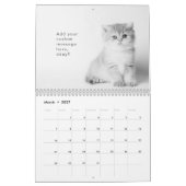 可愛モダンいおもしろいペットの子猫の写真 カレンダー (3月 2027)