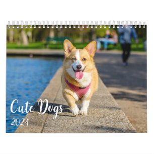 可愛モダンい犬の写真2024 カレンダー
