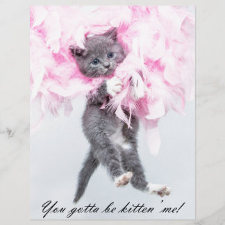 可愛ユーモアのあるいおもしろい猫