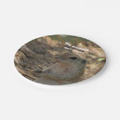 可愛ユーモアのあるらしい地面リスの写真南西 ペーパープレート (アングル)